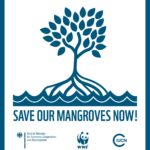 logo_save-our-mangroves-now-150x150