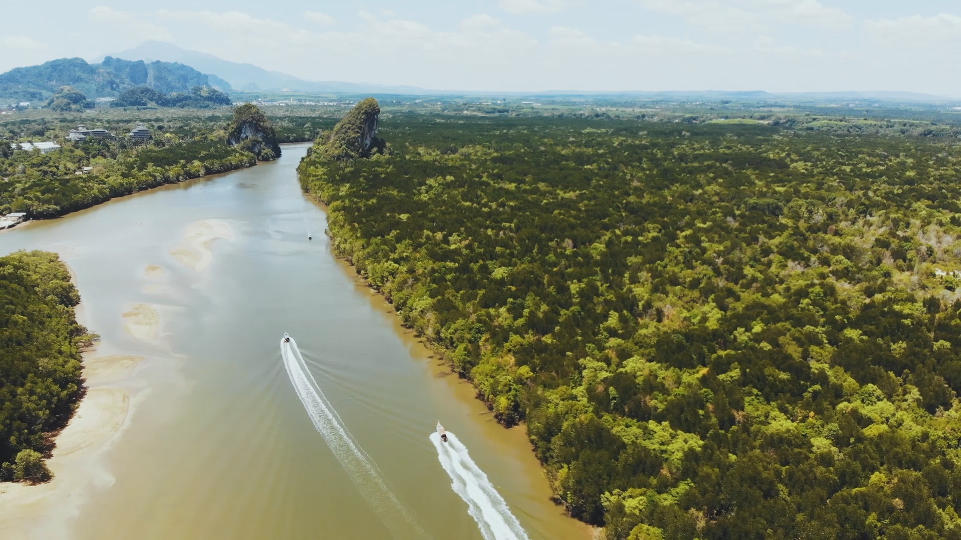 Mangroves