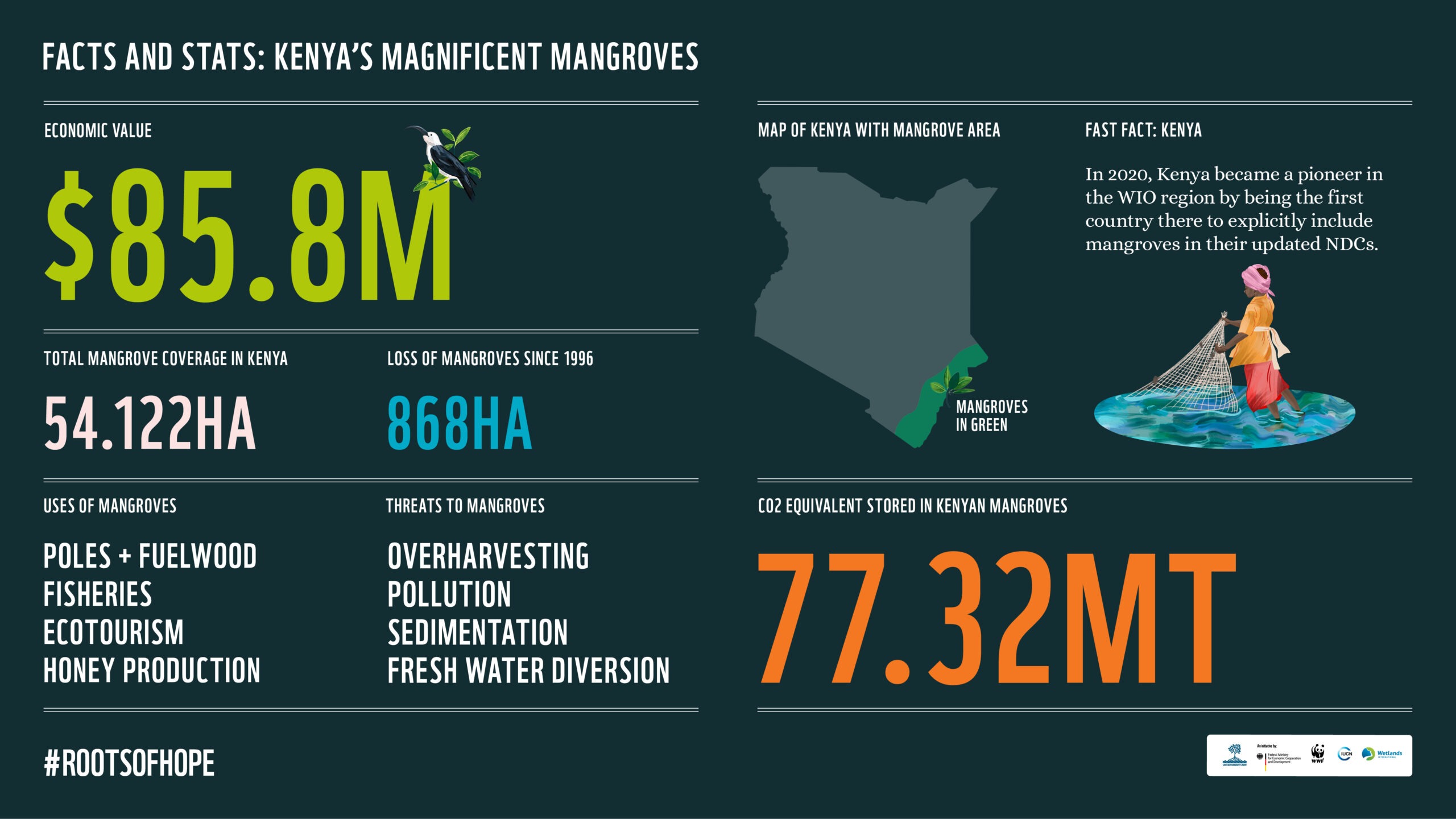 The Mangrove Alliance