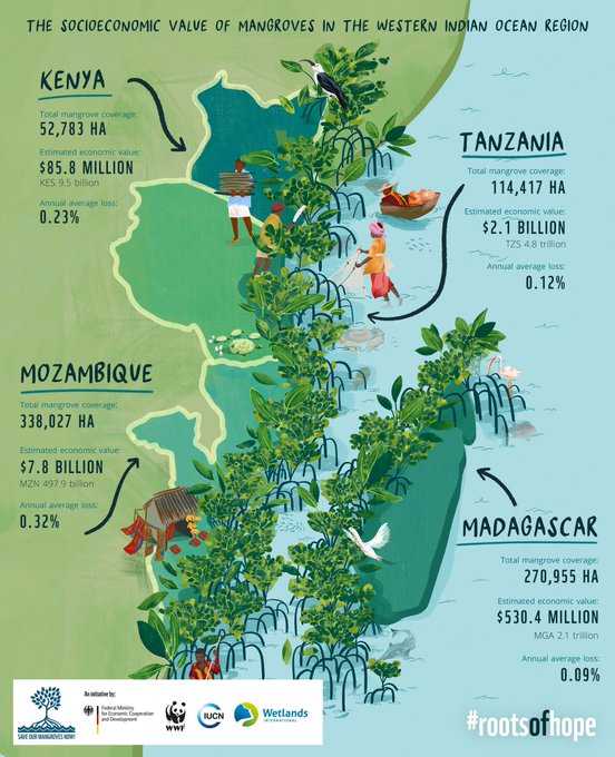 Mangroves