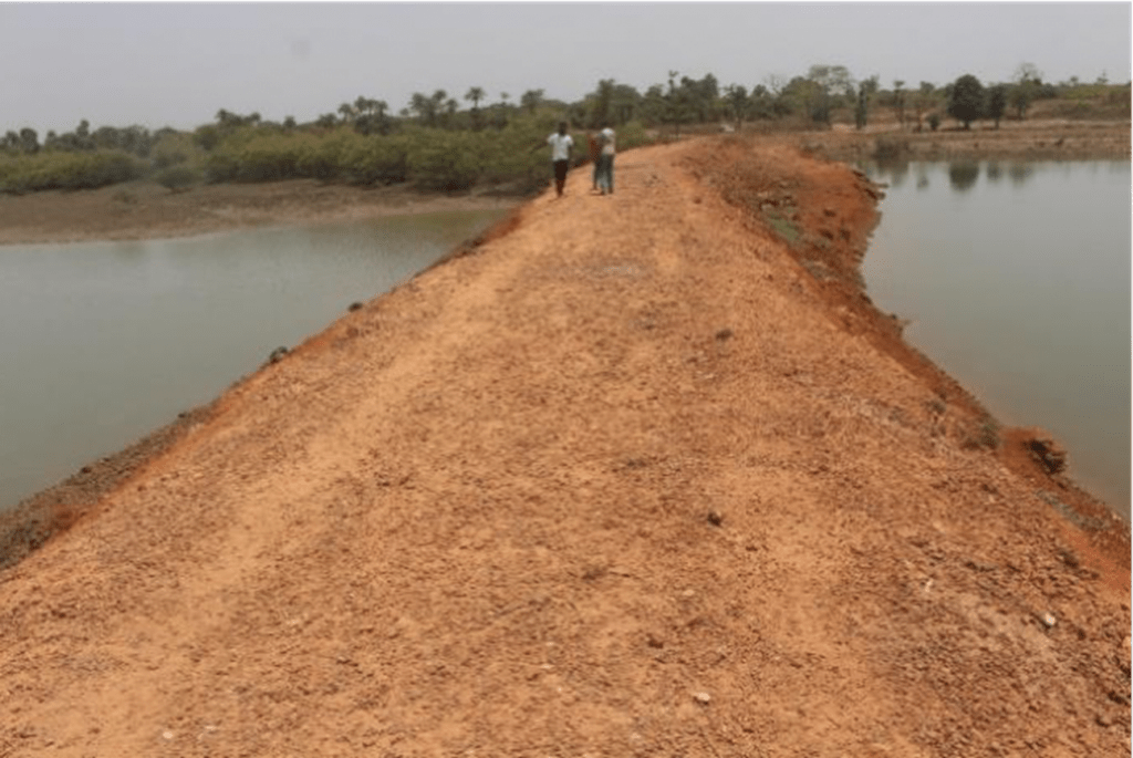 The Mangrove Alliance